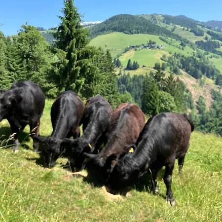 Riedlfeld Chalet-3